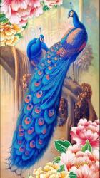 User Profile: Cleo2Patra