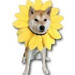 User Profile: sunnyWriting4806
