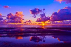 Profile: Sunset316
