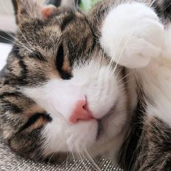 User Profile: LitteredGlitter001