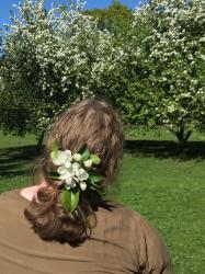 User Profile: joyfulSpring1076