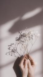 User Profile: ashleyriley72