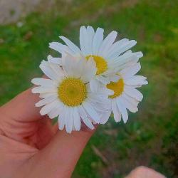 User Profile: YouAreNotAlone01