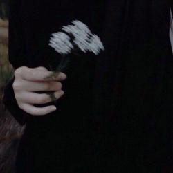 User Profile: him2423