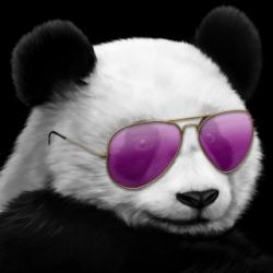 User Profile: PandaHelp000