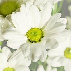 User Profile: supportiveApricot1172