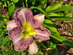 User Profile: Smalltownpoet12