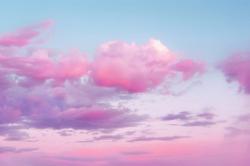 User Profile: CharmingCloud