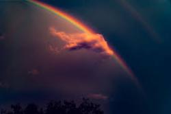 User Profile: lavenderskies99