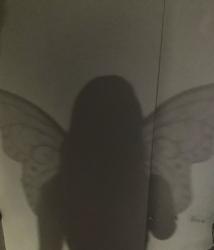 Profile: starsar0undmyscars