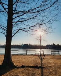 Profile: MilaAvery