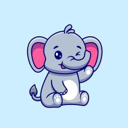 User Profile: kindZebra1843