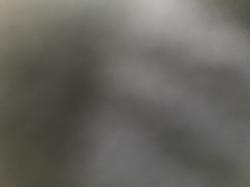 User Profile: blindHoney63