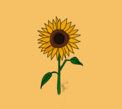 User Profile: plotaz
