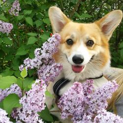 User Profile: bwoop1102