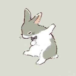 User Profile: BunnyPairs2