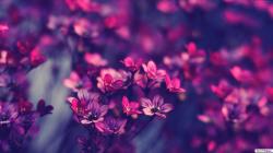 User Profile: Londo