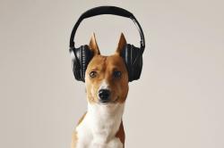 User Profile: listeningmatters