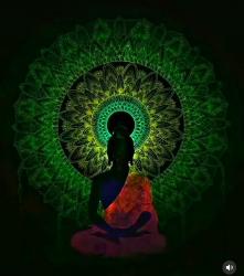 User Profile: Peaceful1601braveheart