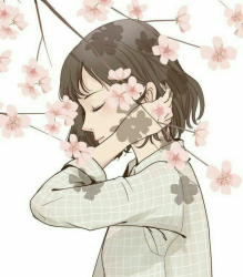 User Profile: ThoughtfulBlossom