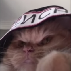 User Profile: McWaya