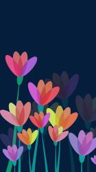 User Profile: Oly4478