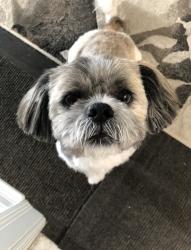 User Profile: CompassionateSophia