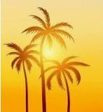 User Profile: sunshine4you