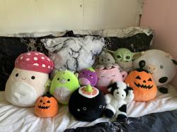 User Profile: Quesadillaqueen12