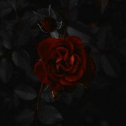 User Profile: gabrielagbg