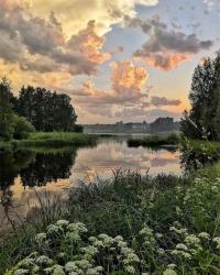 User Profile: NightLake
