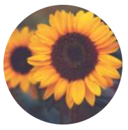 User Profile: Mitwa0716