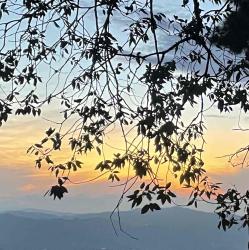 User Profile: listeningskies