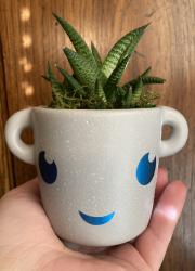 User Profile: SereneTea0713