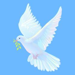User Profile: ListeningHumaira
