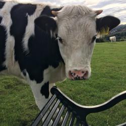 User Profile: KatTheListenerr