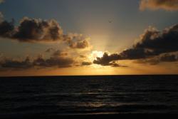 User Profile: SunriseSunset88