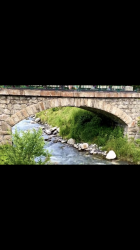 User Profile: mallard55