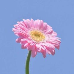 User Profile: Helpingperson000