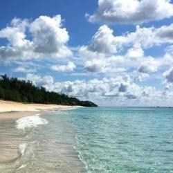 User Profile: softsunshine202
