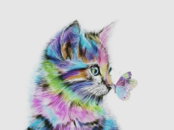 User Profile: TabbyCat97
