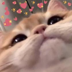 User Profile: goodkarma22