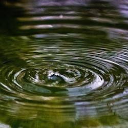 User Profile: Peacefulbutterfly1820