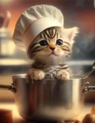 User Profile: EnigmaticCat24