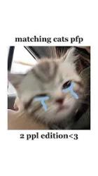 User Profile: ilovepasta123