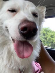 User Profile: hahahana