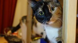 Profile: Lieke