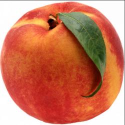 User Profile: PeacefulPeach