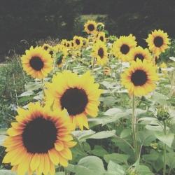 User Profile: Rochelle94