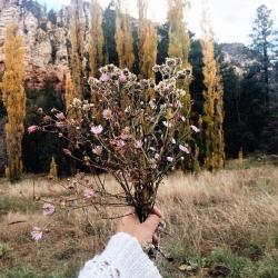 Profile: karinaitzel101